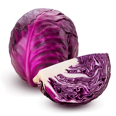 Cabbage