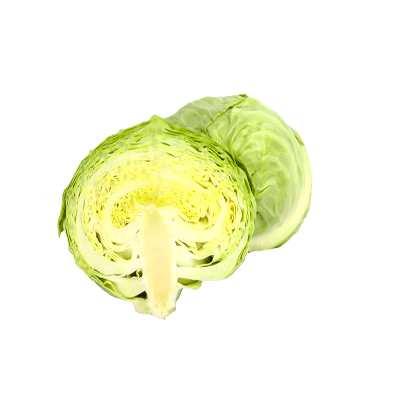 Lettuce Alcapucci